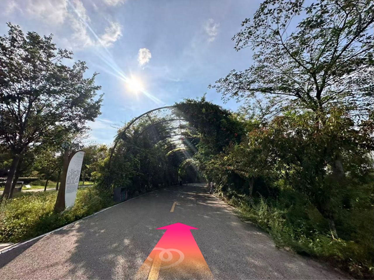 null — step-by-step photo guide