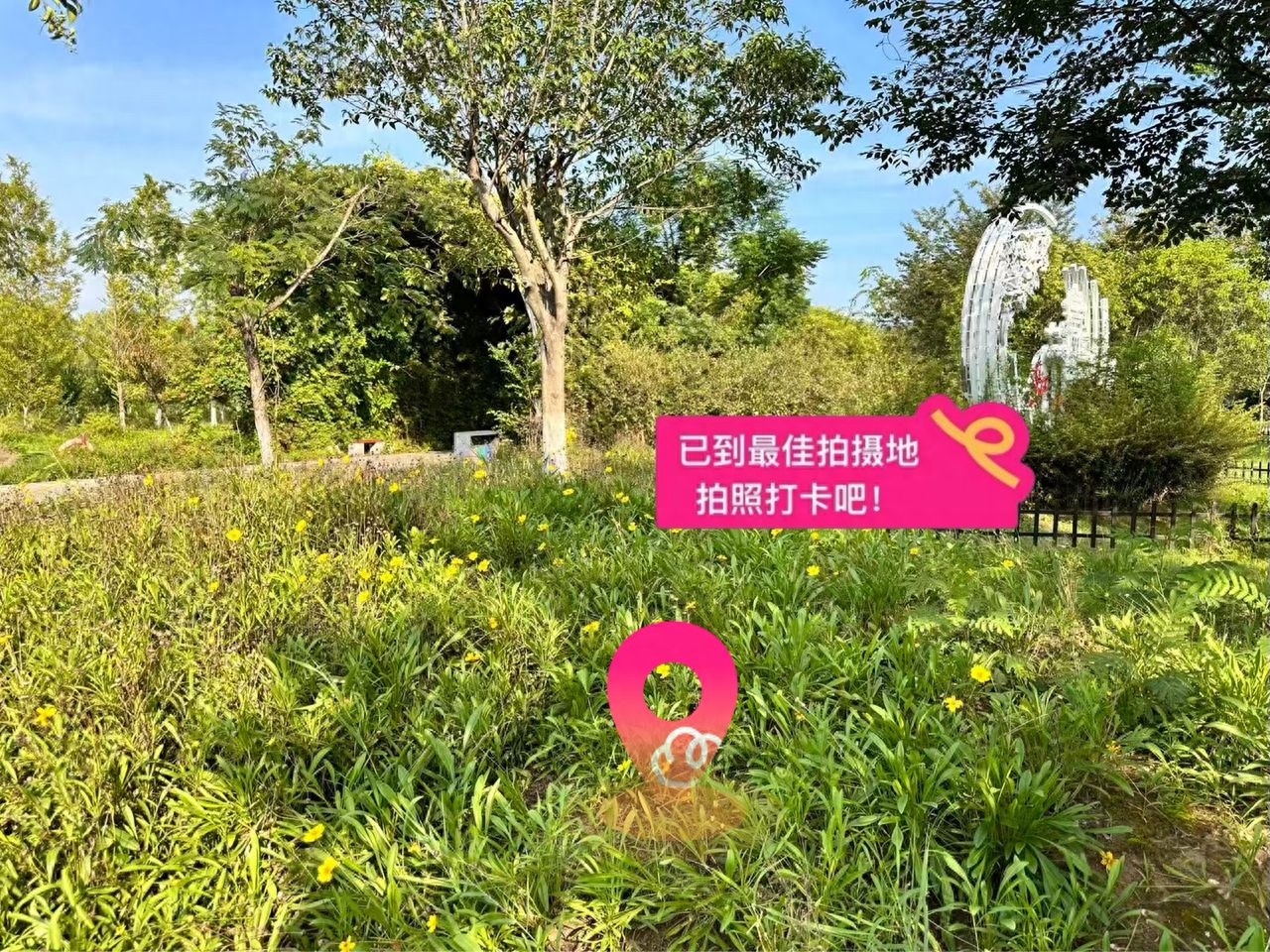 null — step-by-step photo guide