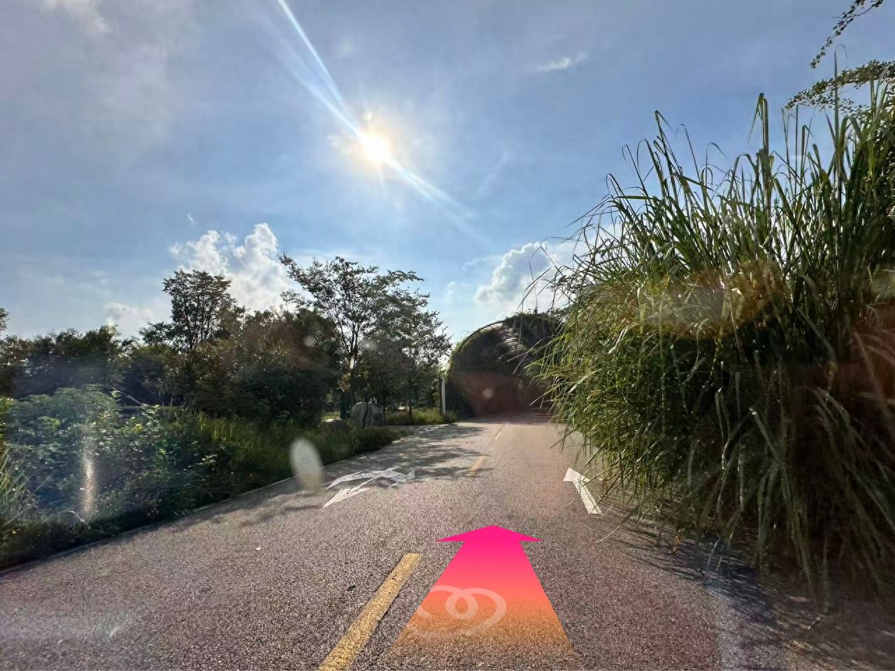 null — step-by-step photo guide