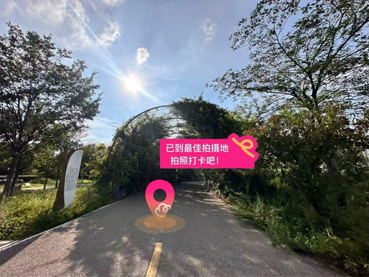 null — step-by-step photo guide