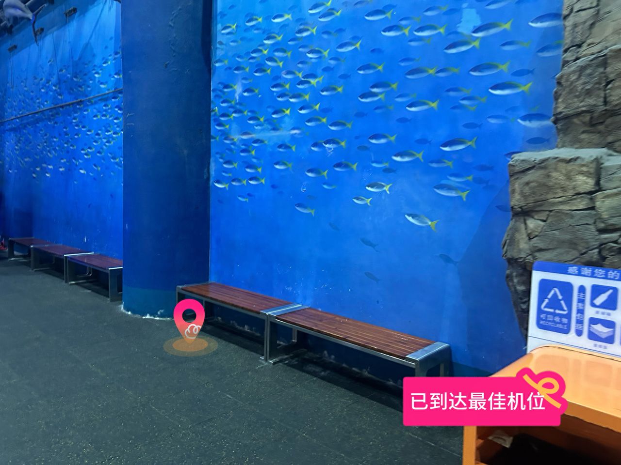 null — step-by-step photo guide