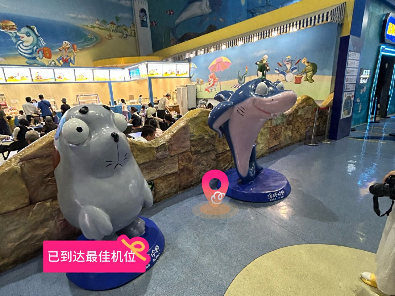 null — step-by-step photo guide