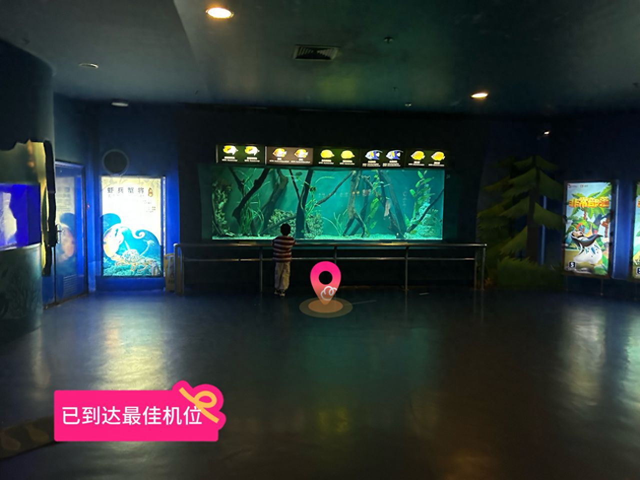 null — step-by-step photo guide