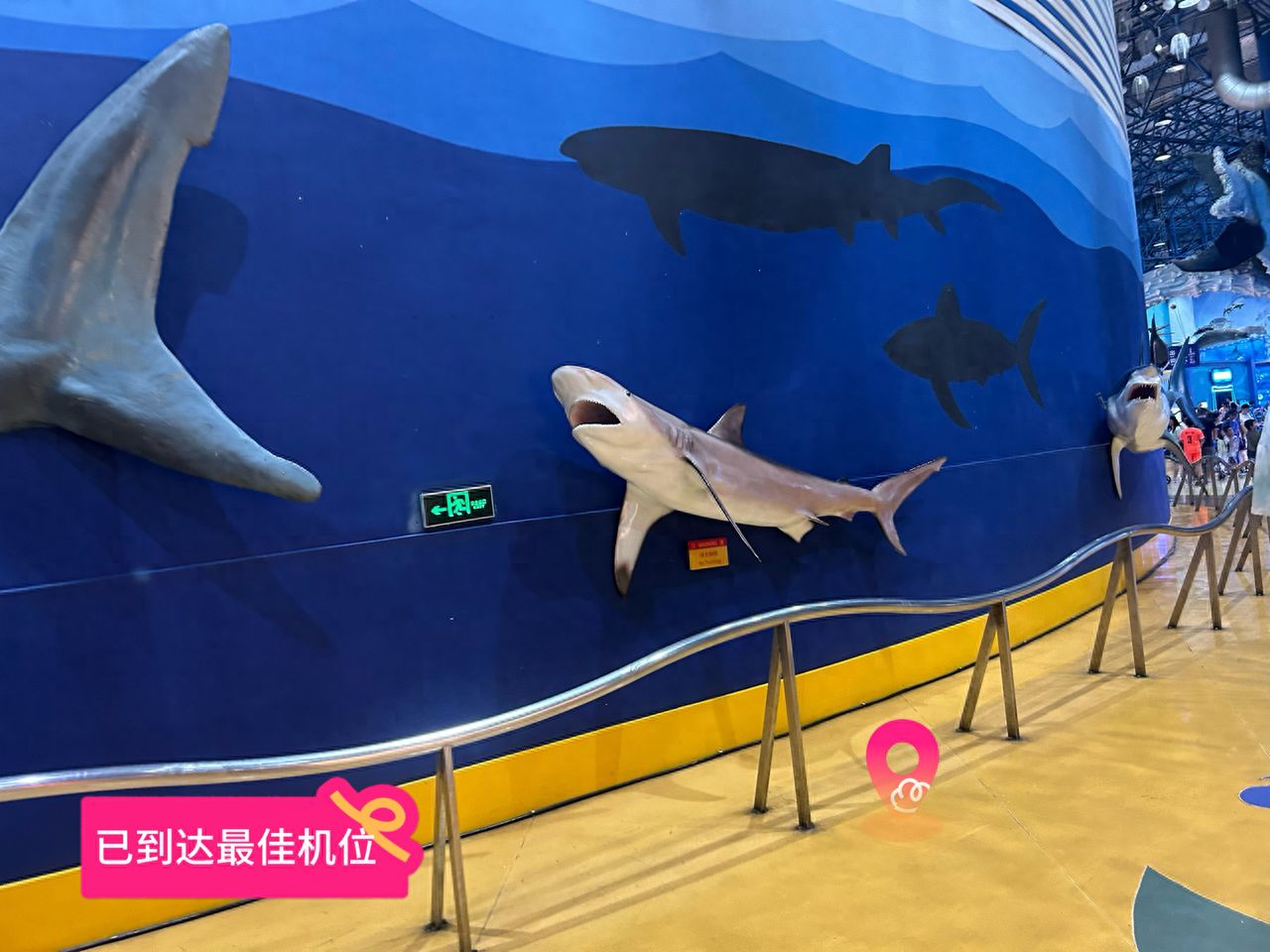 null — step-by-step photo guide