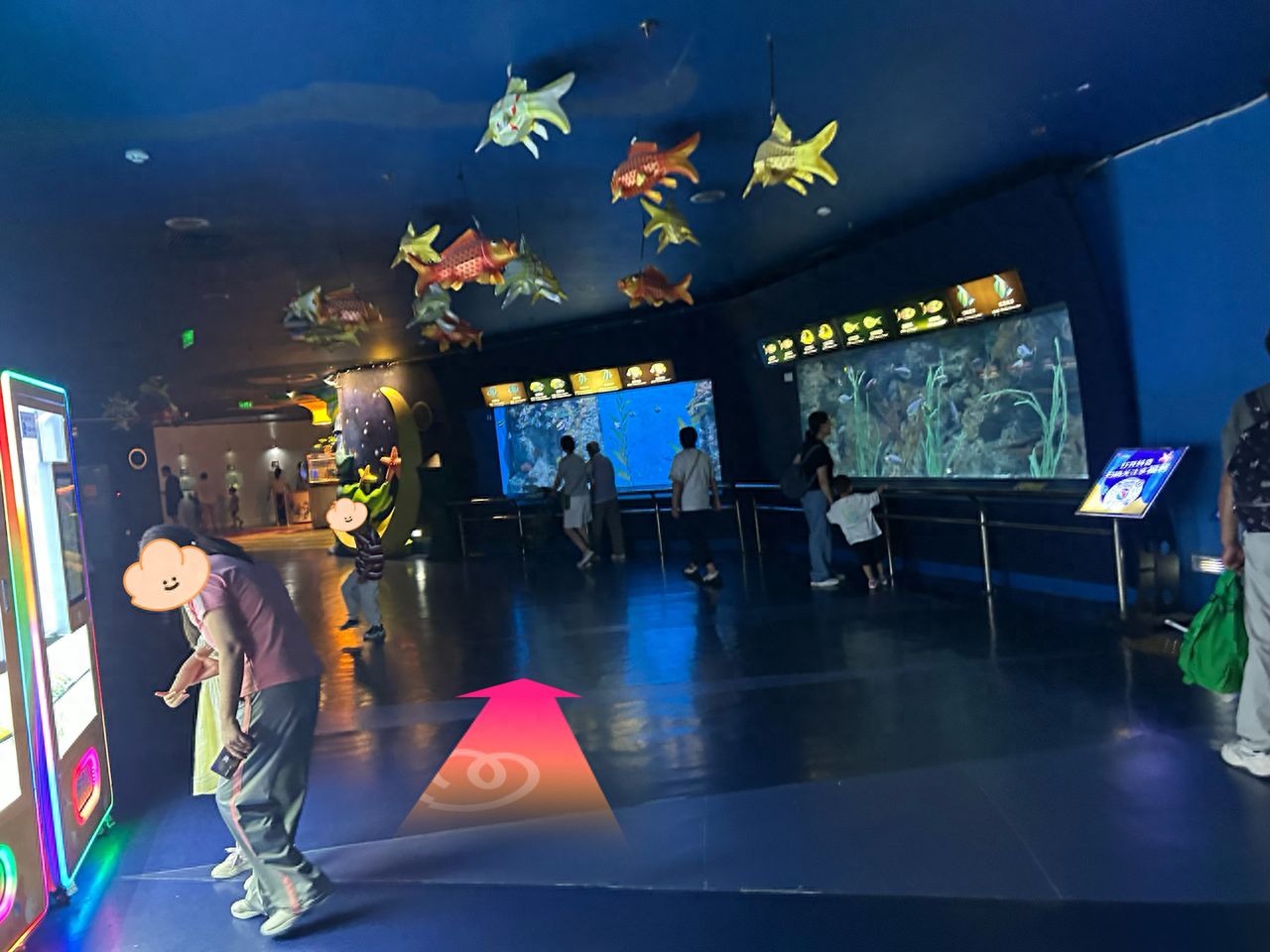 null — step-by-step photo guide