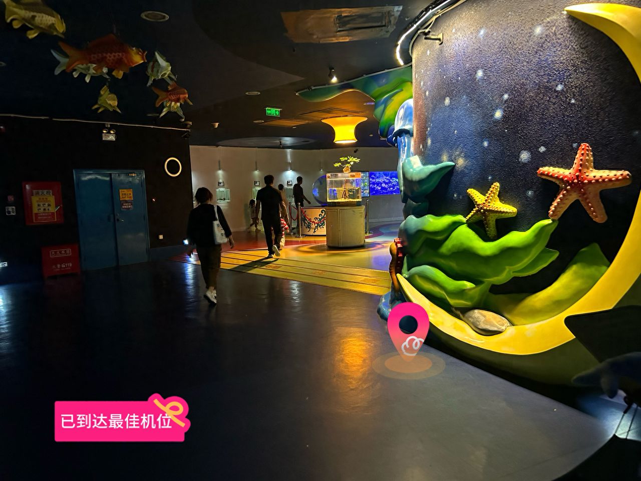 null — step-by-step photo guide