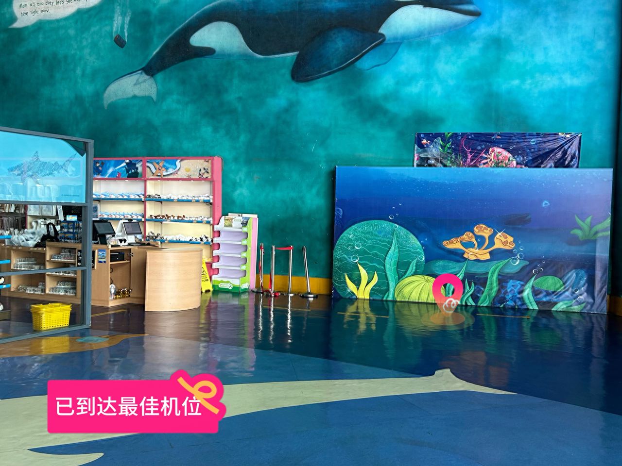 null — step-by-step photo guide