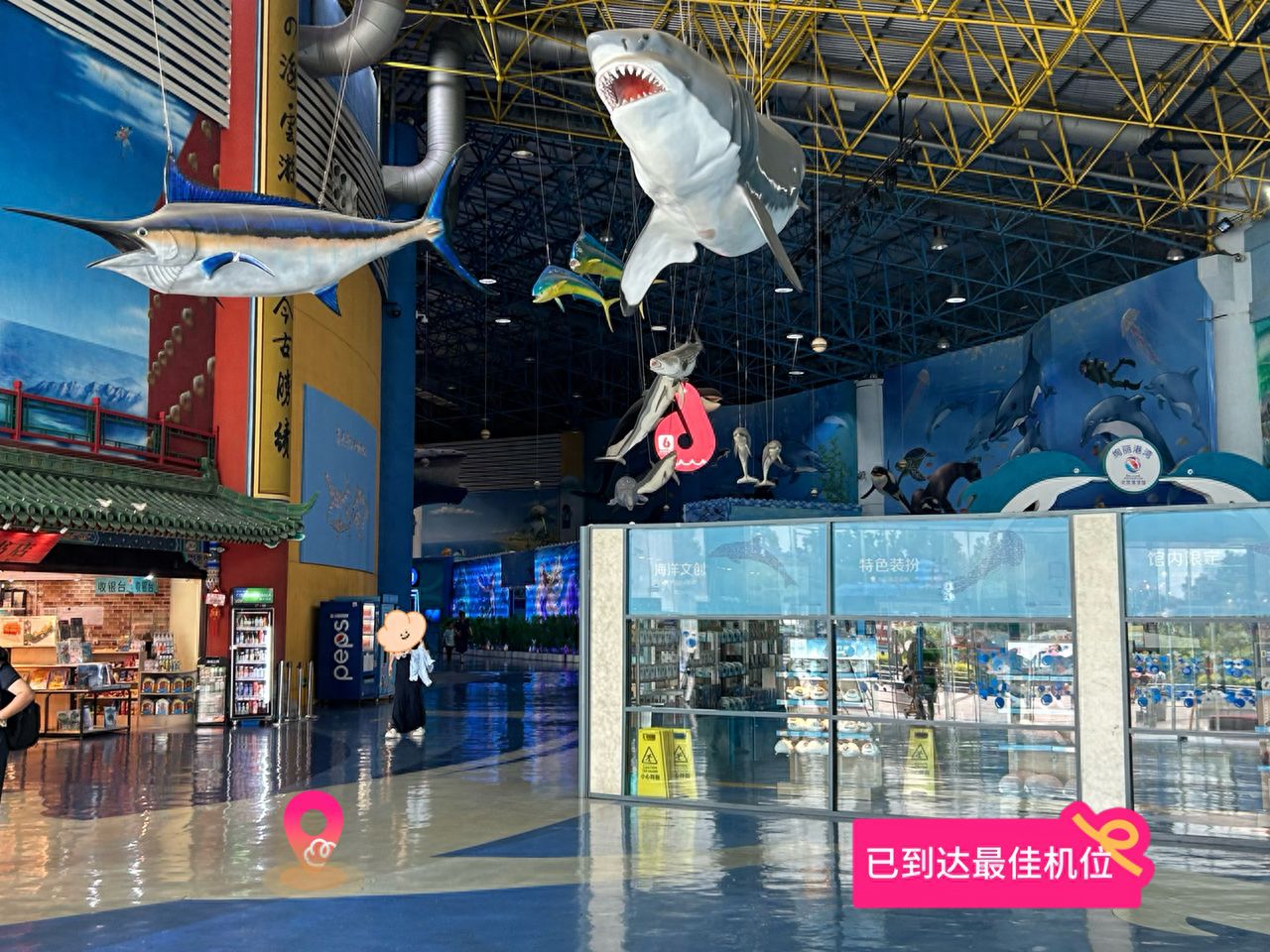 null — step-by-step photo guide