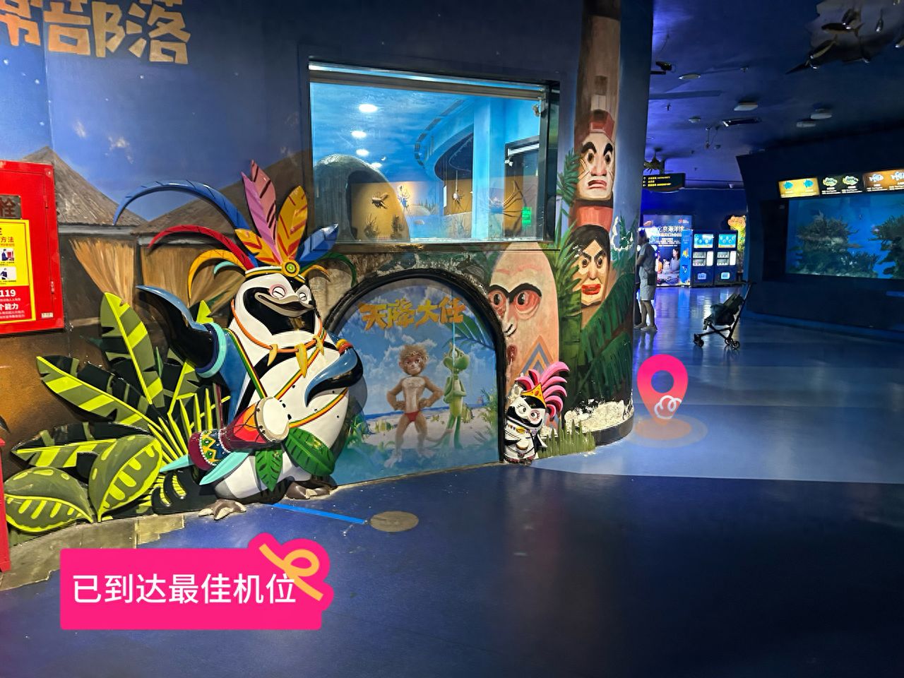 null — step-by-step photo guide