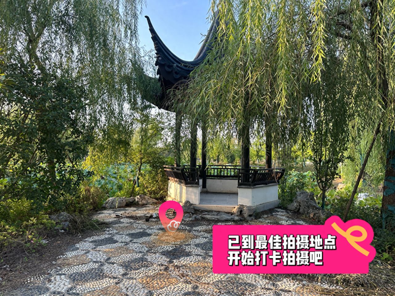 null — step-by-step photo guide