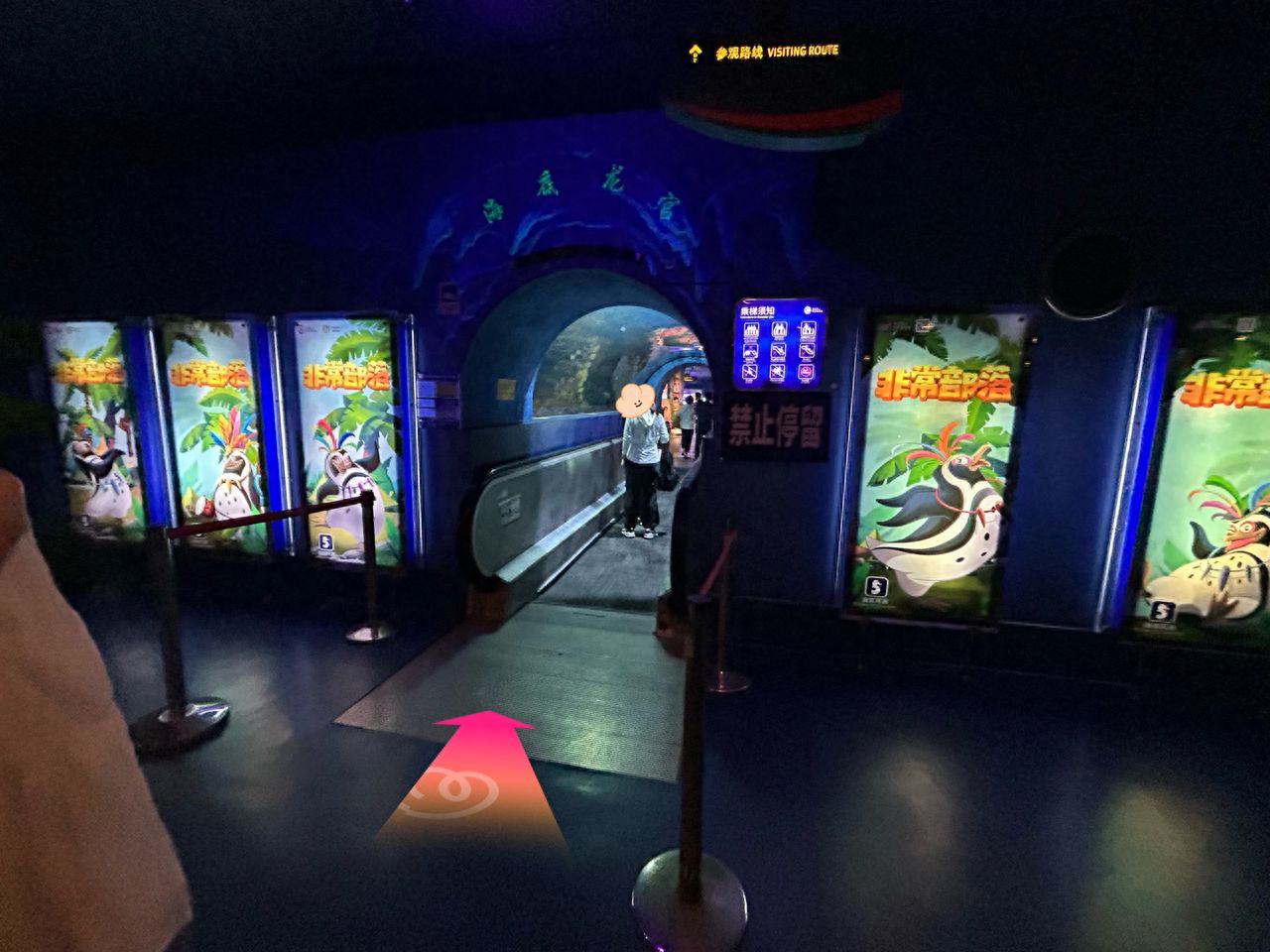 null — step-by-step photo guide