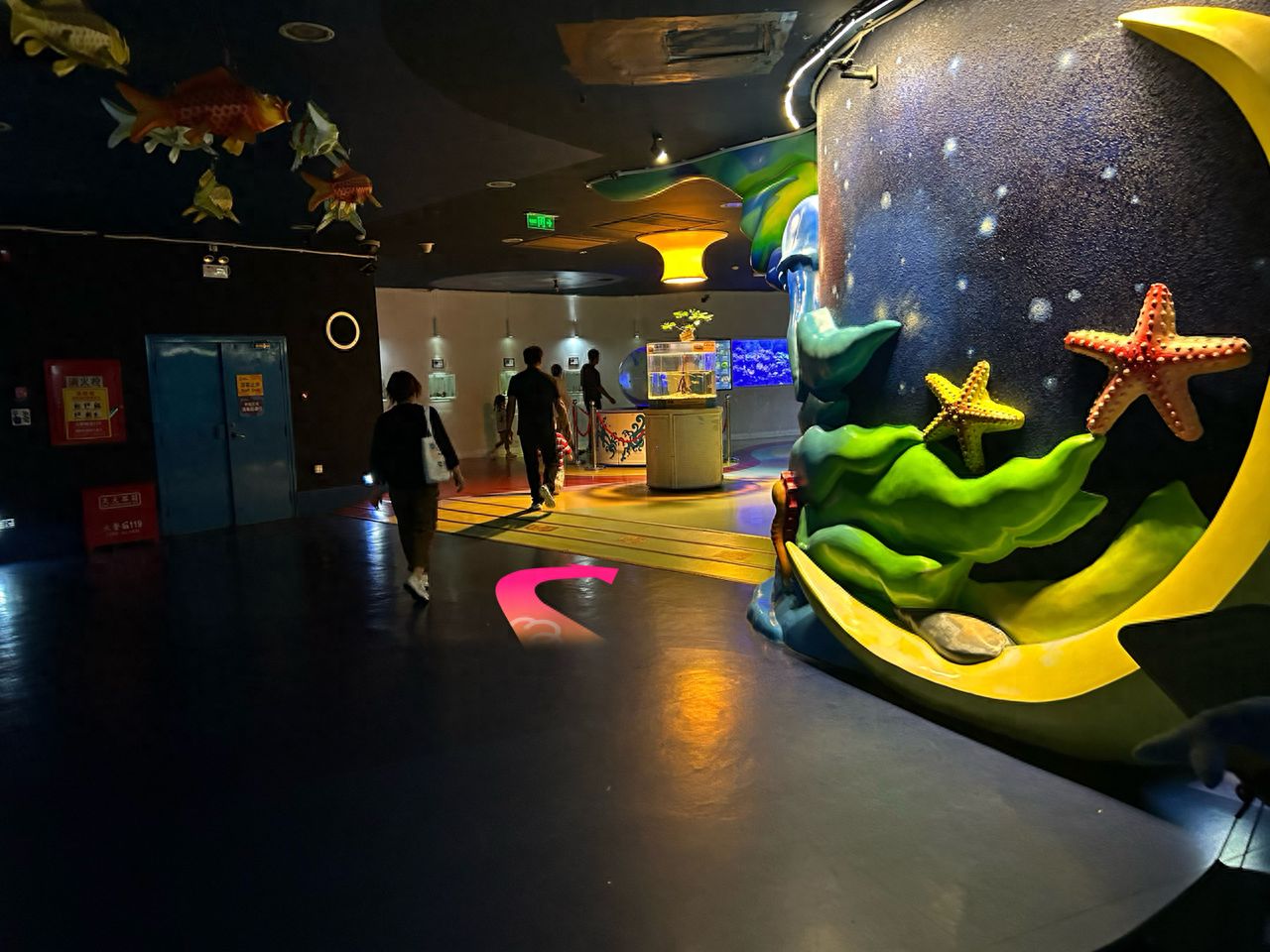 null — step-by-step photo guide