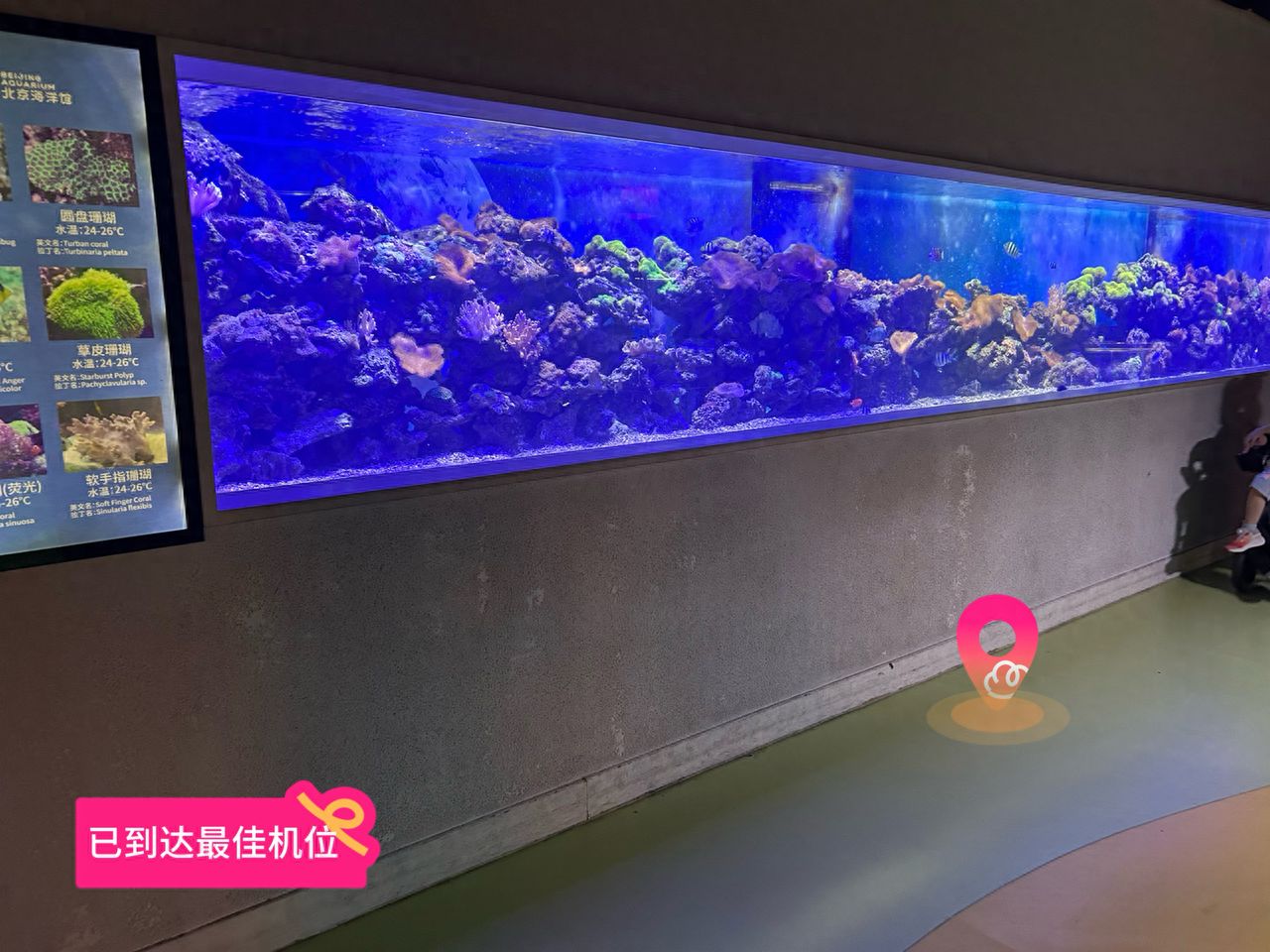 null — step-by-step photo guide