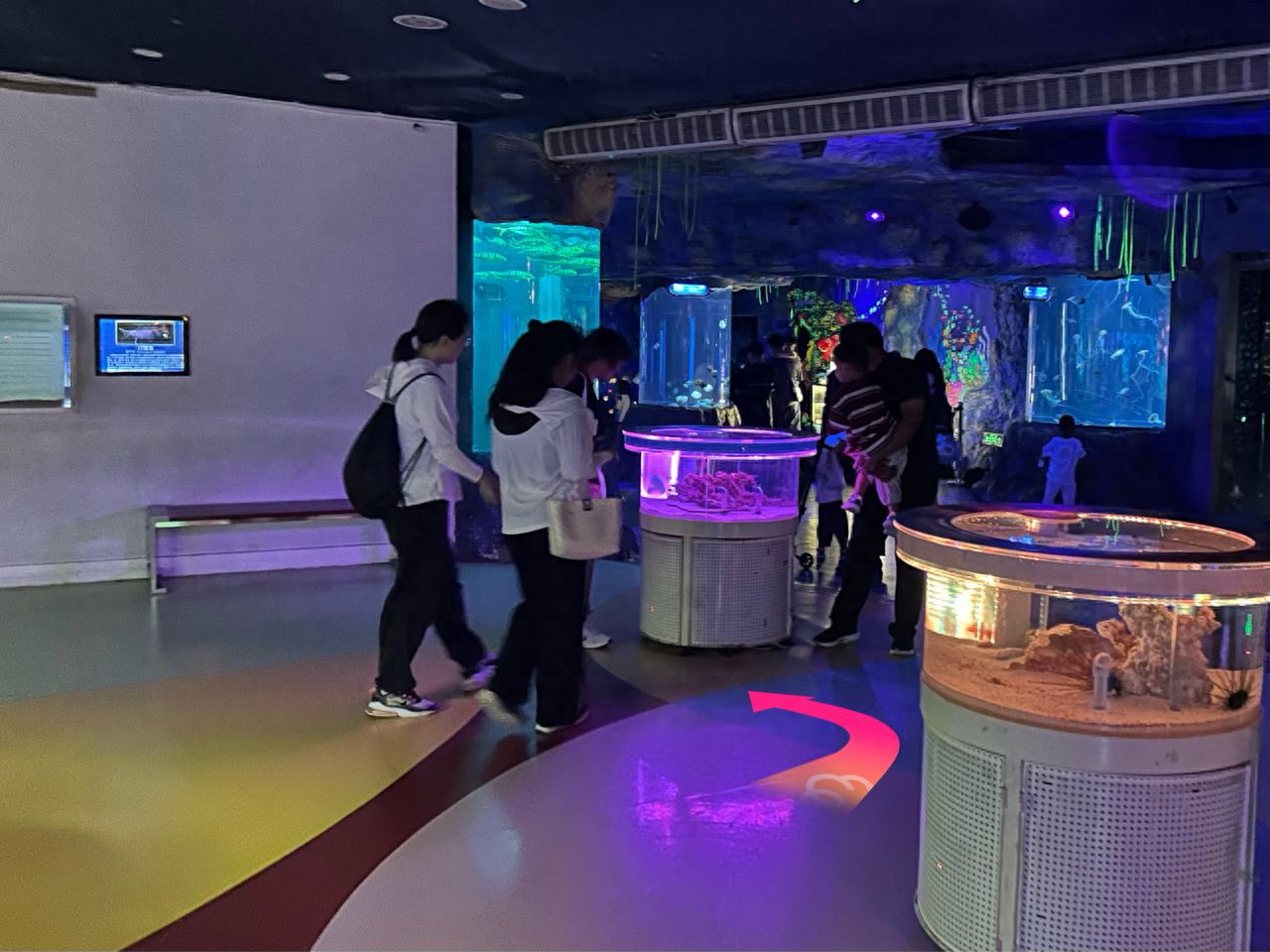 null — step-by-step photo guide