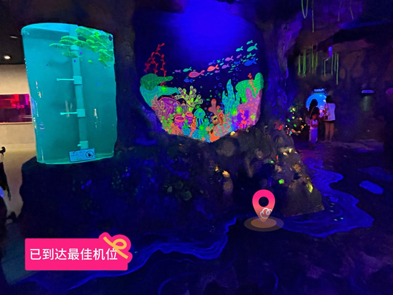 null — step-by-step photo guide