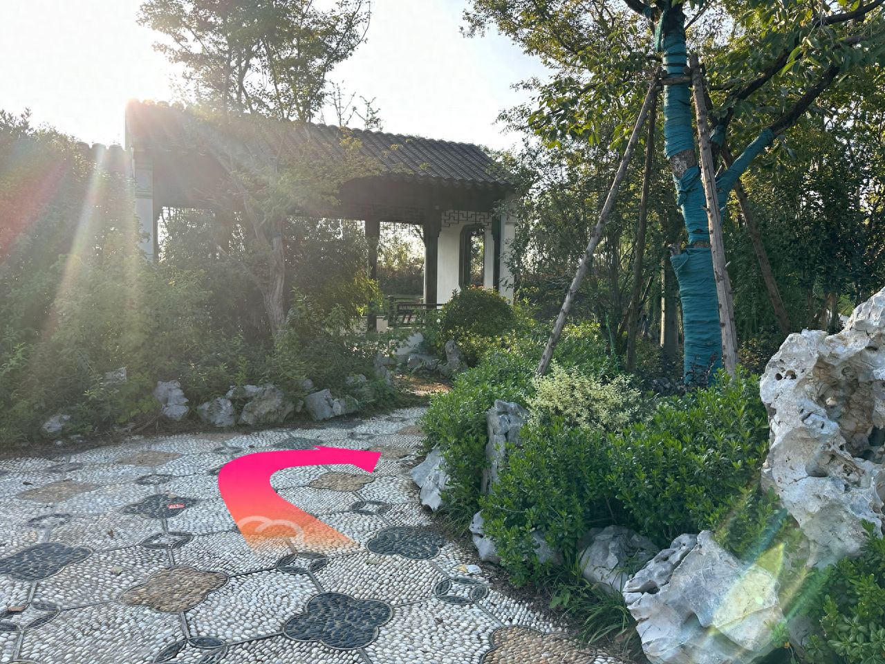 null — step-by-step photo guide