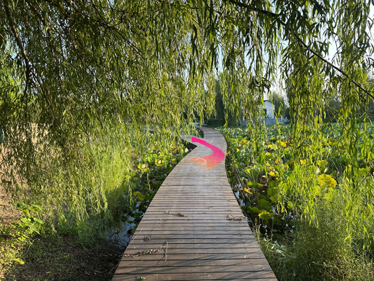 null — step-by-step photo guide