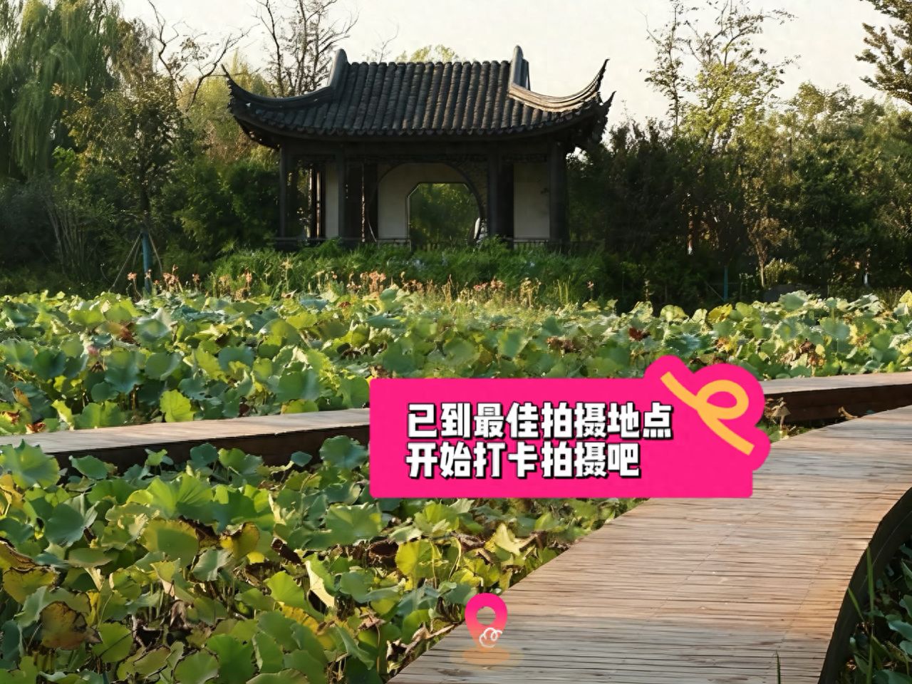 null — step-by-step photo guide