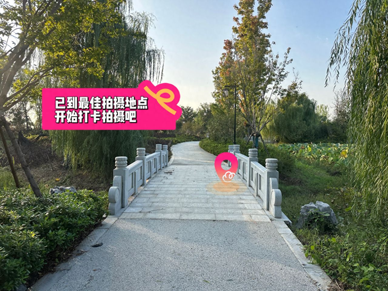 null — step-by-step photo guide