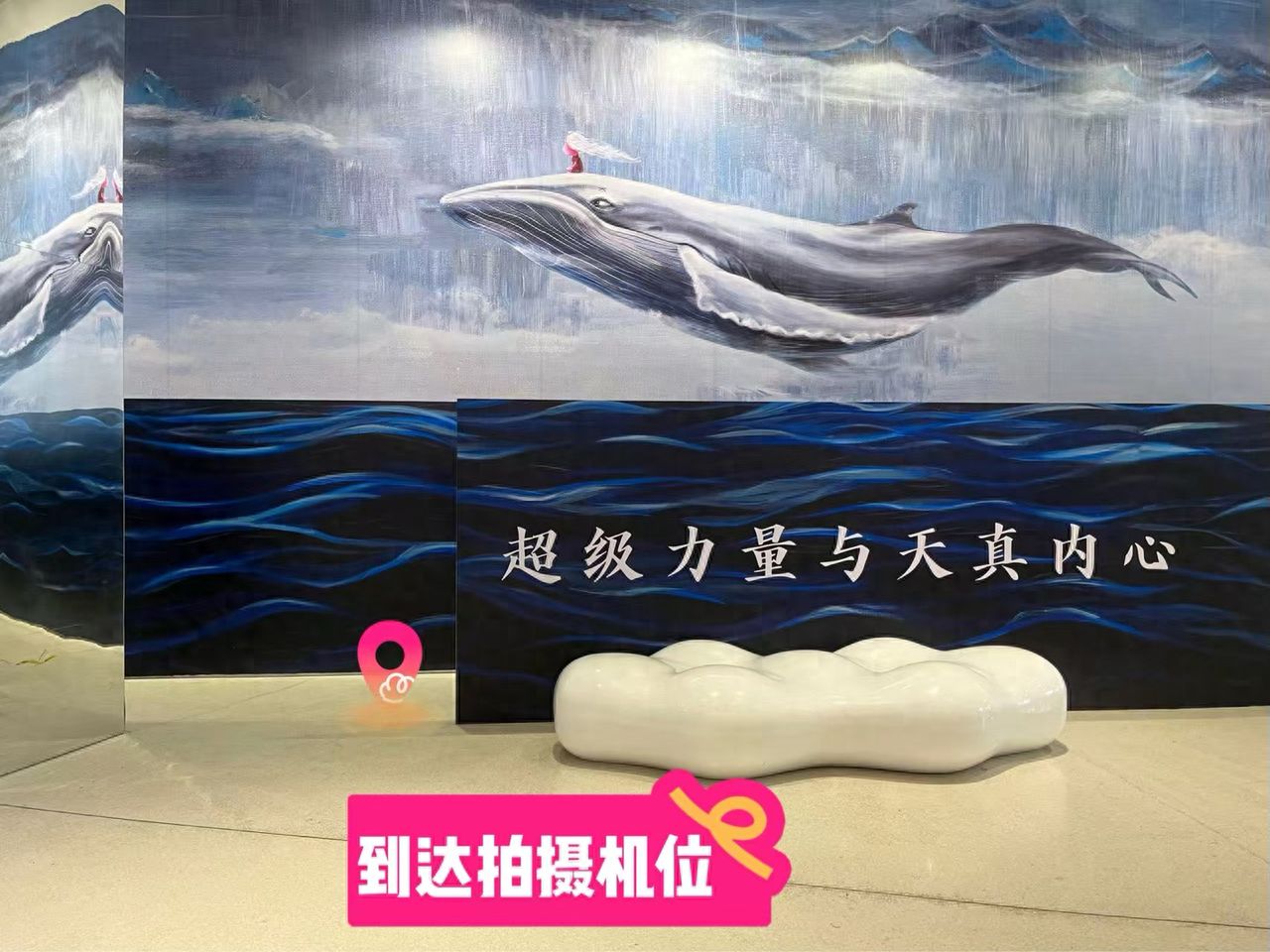 null — step-by-step photo guide