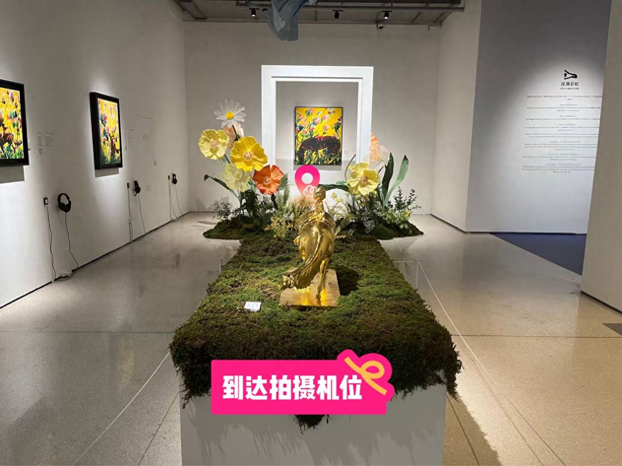 null — step-by-step photo guide