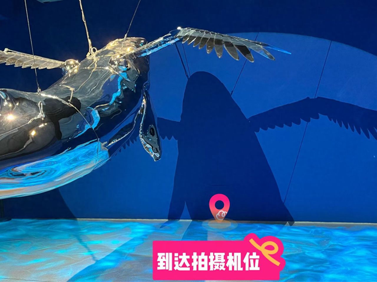 null — step-by-step photo guide