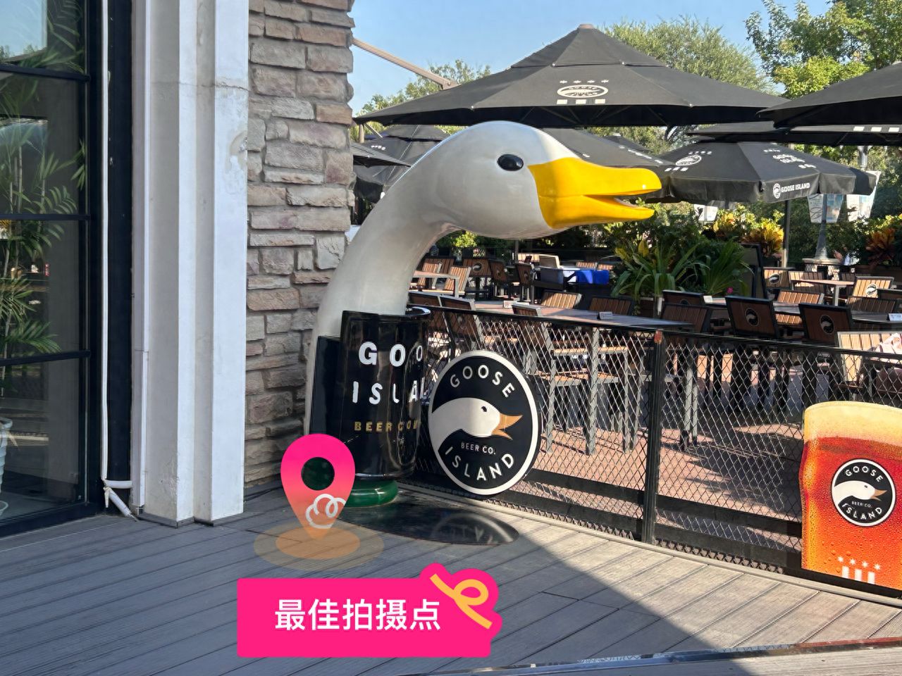 null — step-by-step photo guide