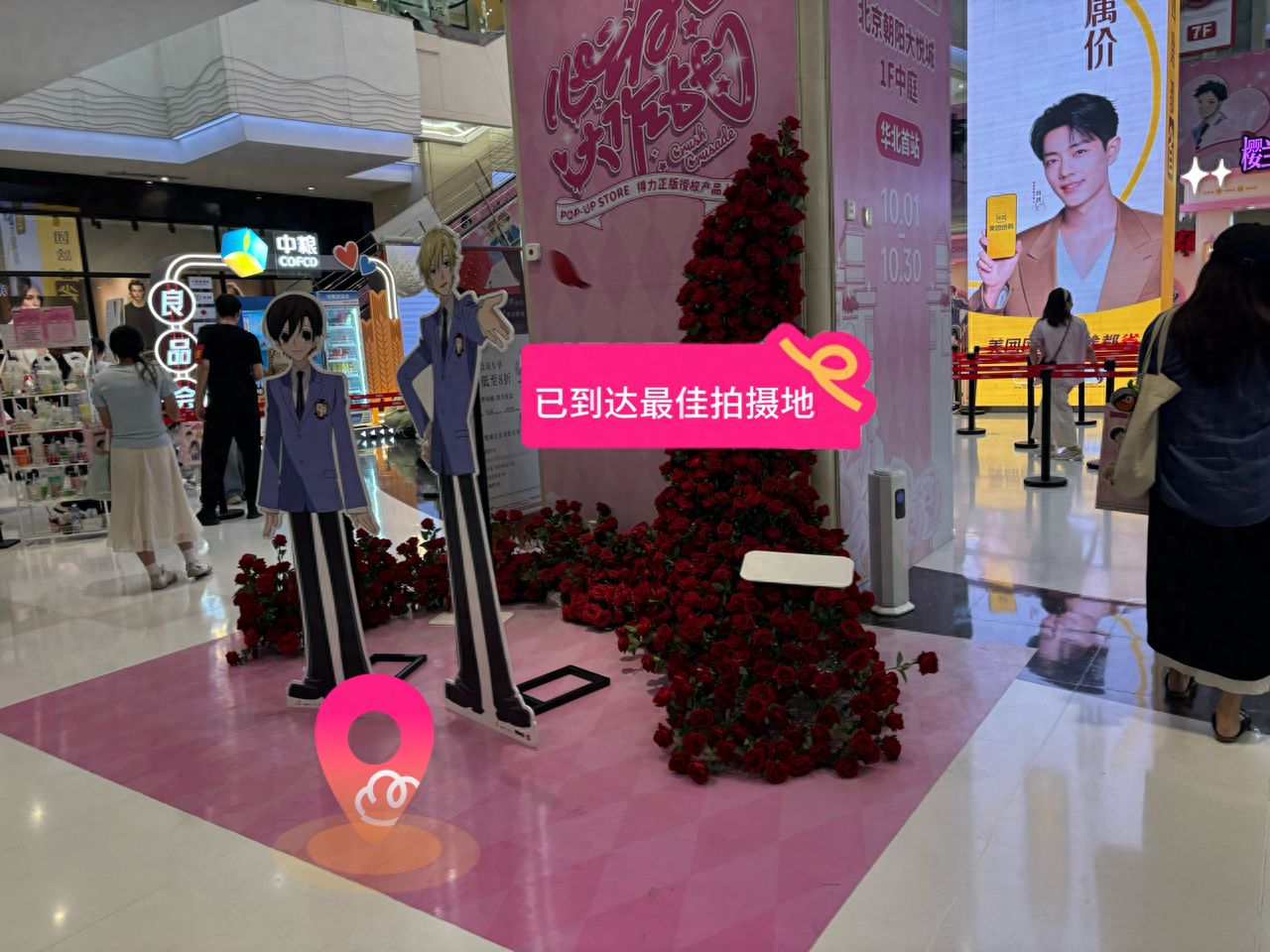 null — step-by-step photo guide