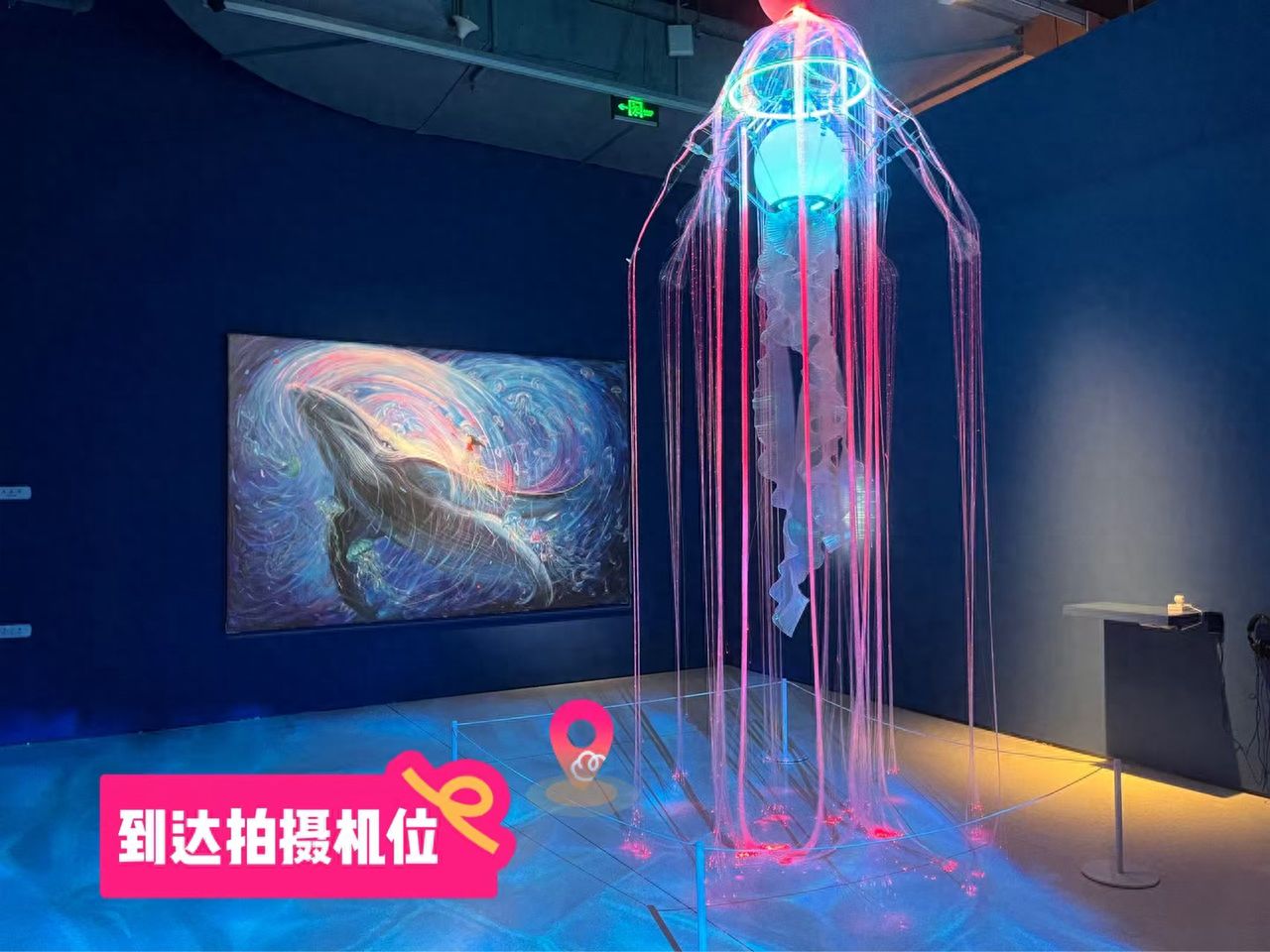 null — step-by-step photo guide