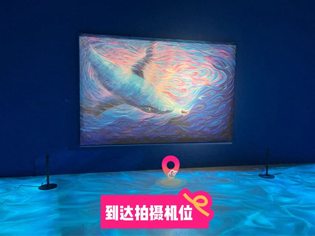 null — step-by-step photo guide