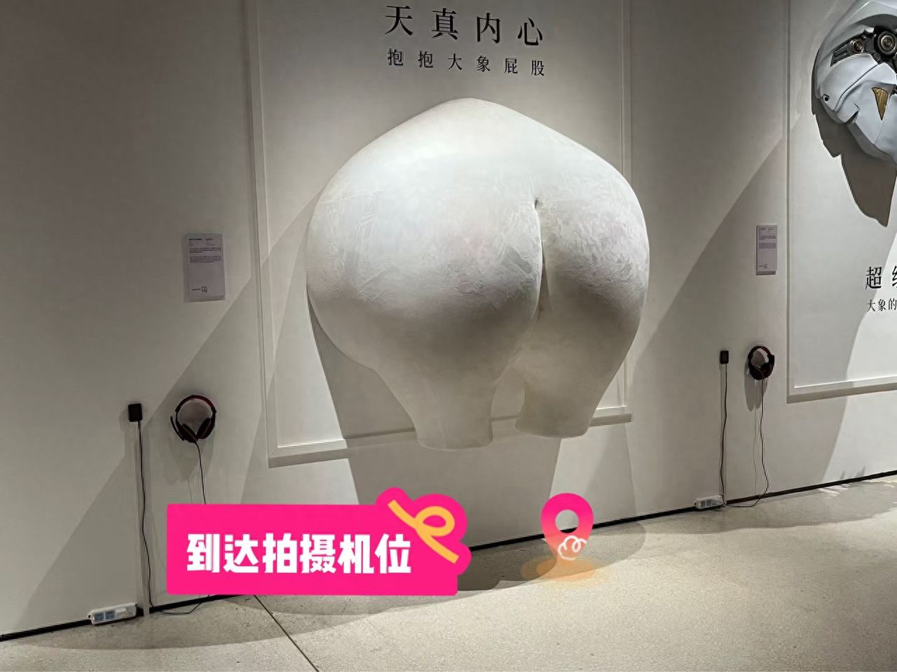 null — step-by-step photo guide