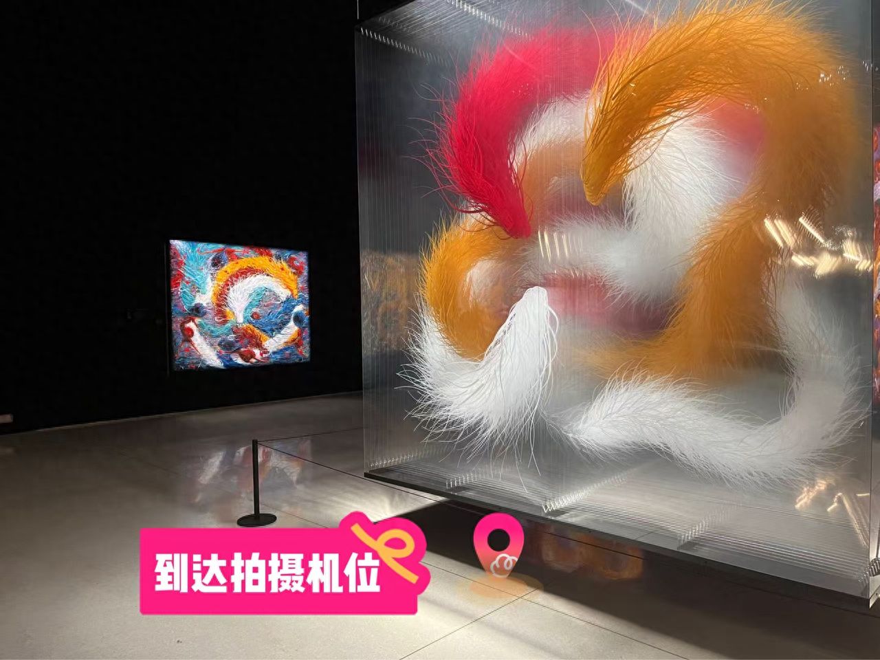 null — step-by-step photo guide