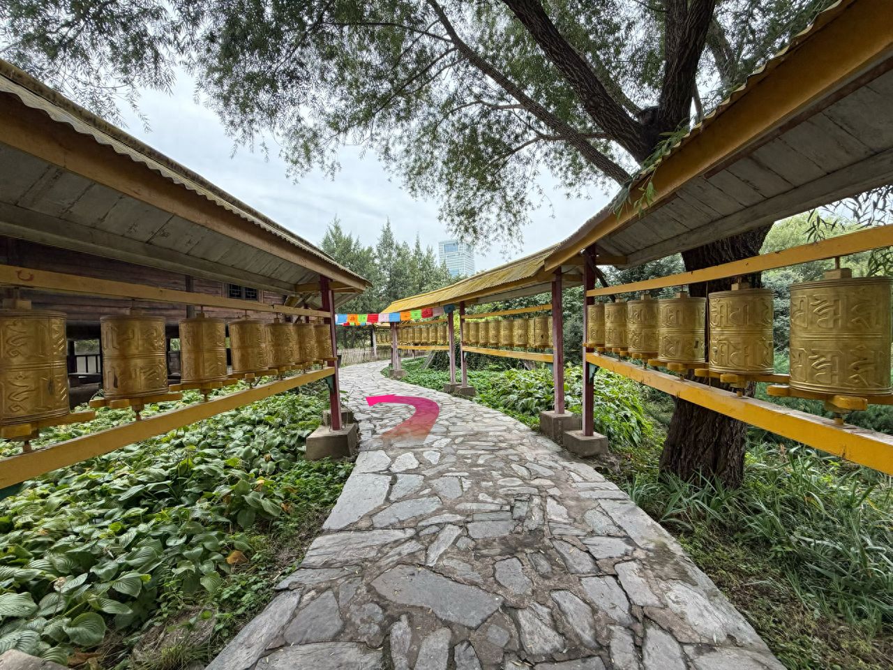 null — step-by-step photo guide