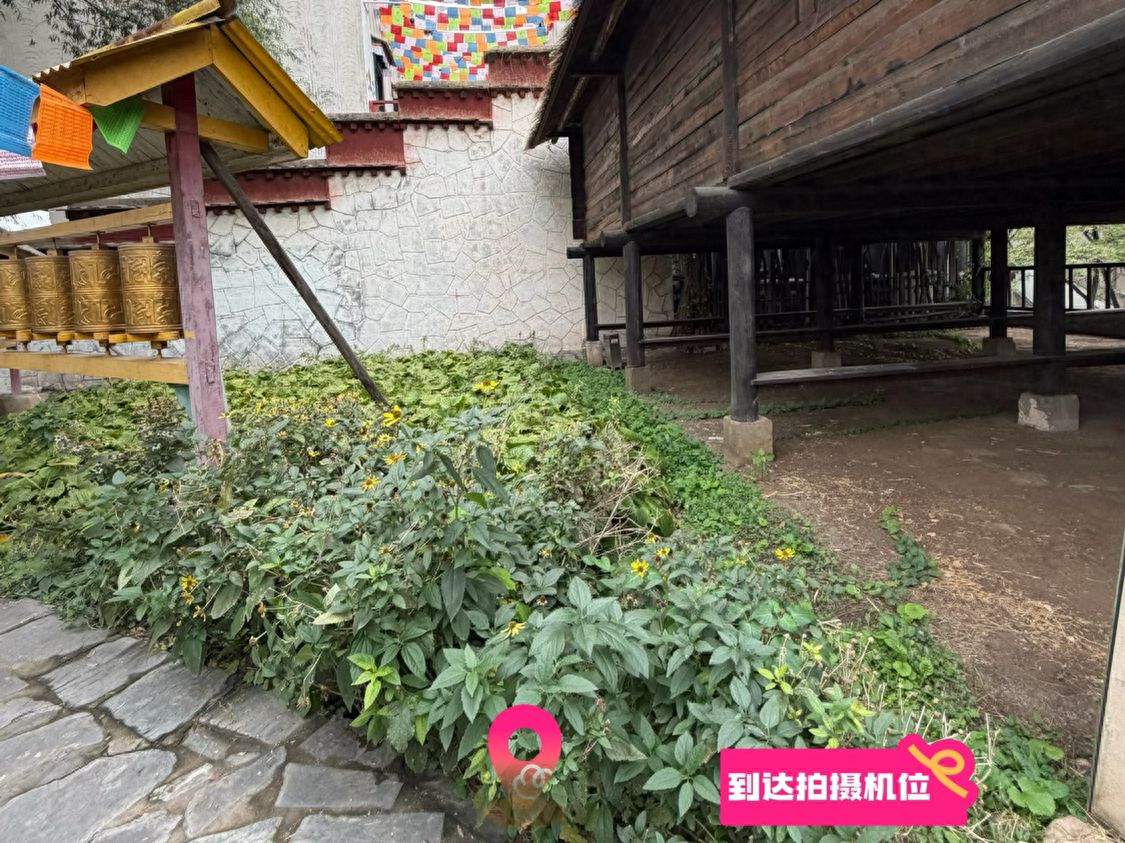 null — step-by-step photo guide