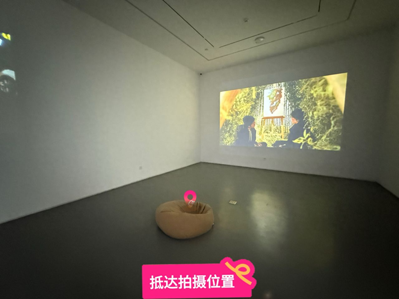 null — step-by-step photo guide