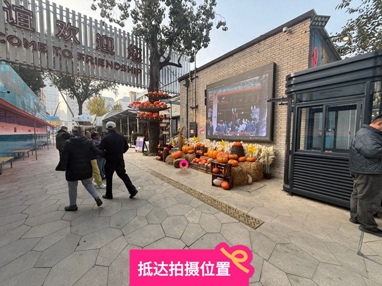 null — step-by-step photo guide