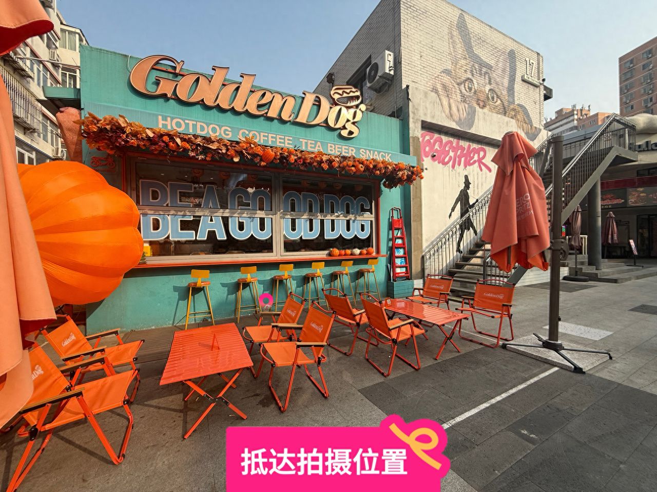 null — step-by-step photo guide