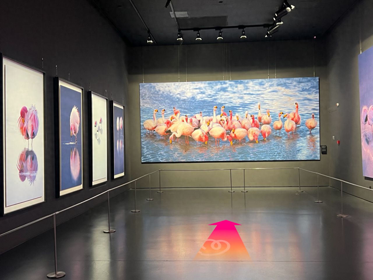 null — step-by-step photo guide