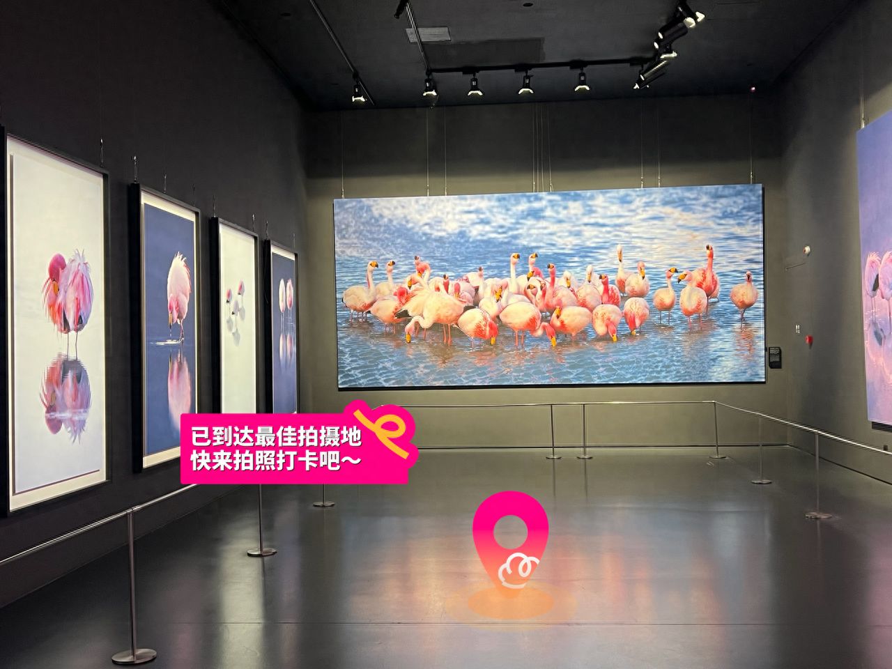 null — step-by-step photo guide