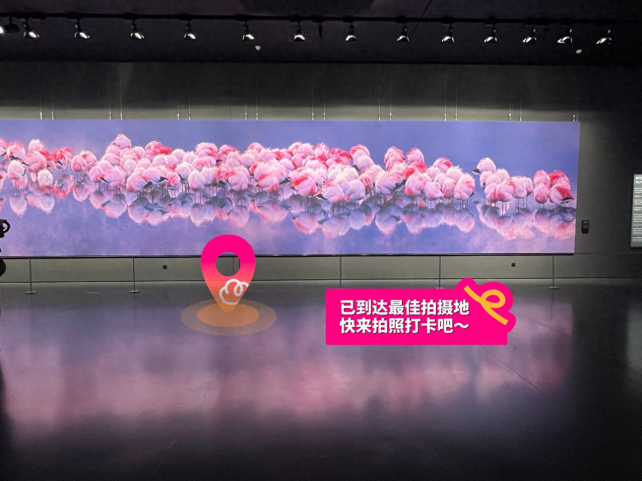 null — step-by-step photo guide