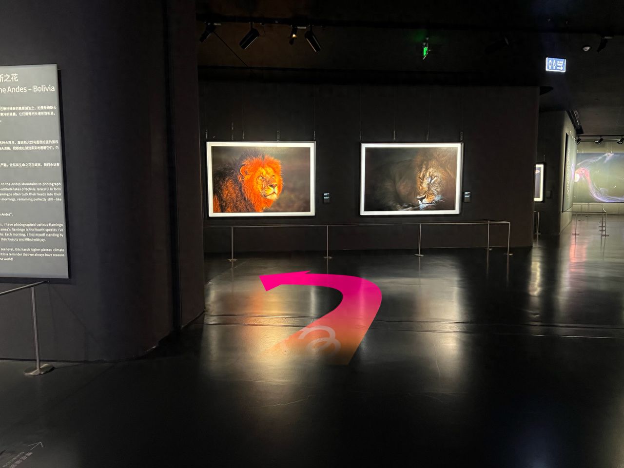 null — step-by-step photo guide