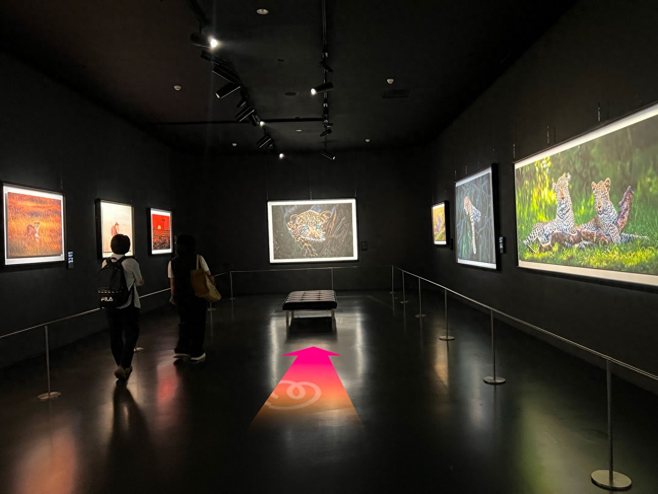 null — step-by-step photo guide