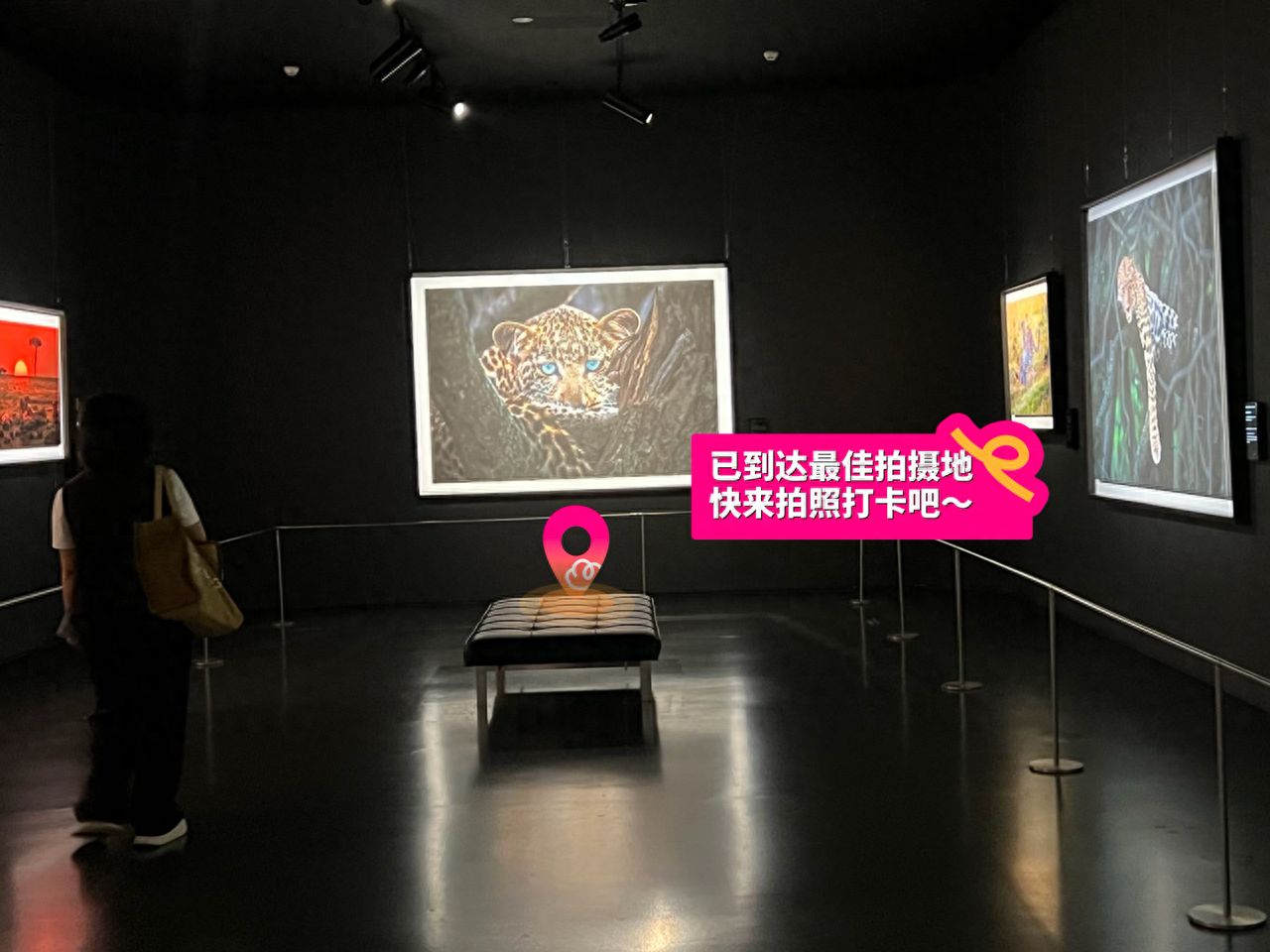 null — step-by-step photo guide