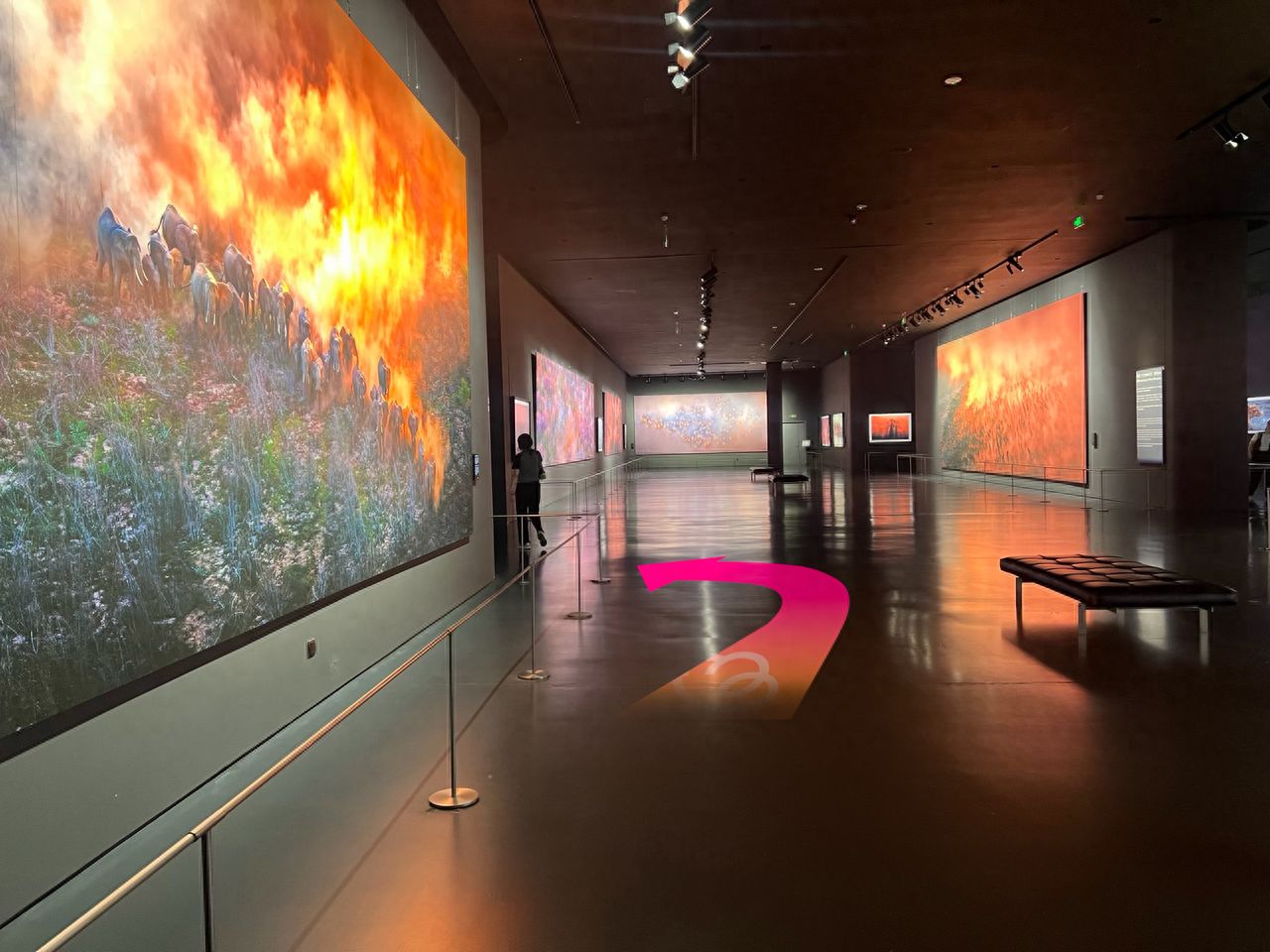 null — step-by-step photo guide