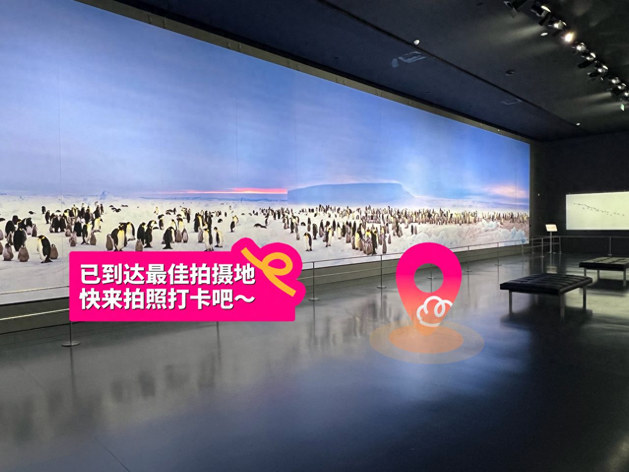 null — step-by-step photo guide