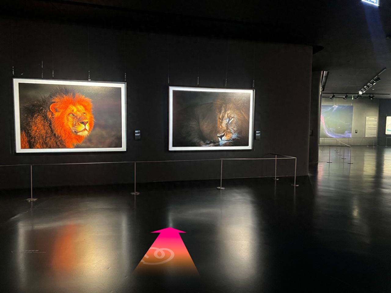 null — step-by-step photo guide