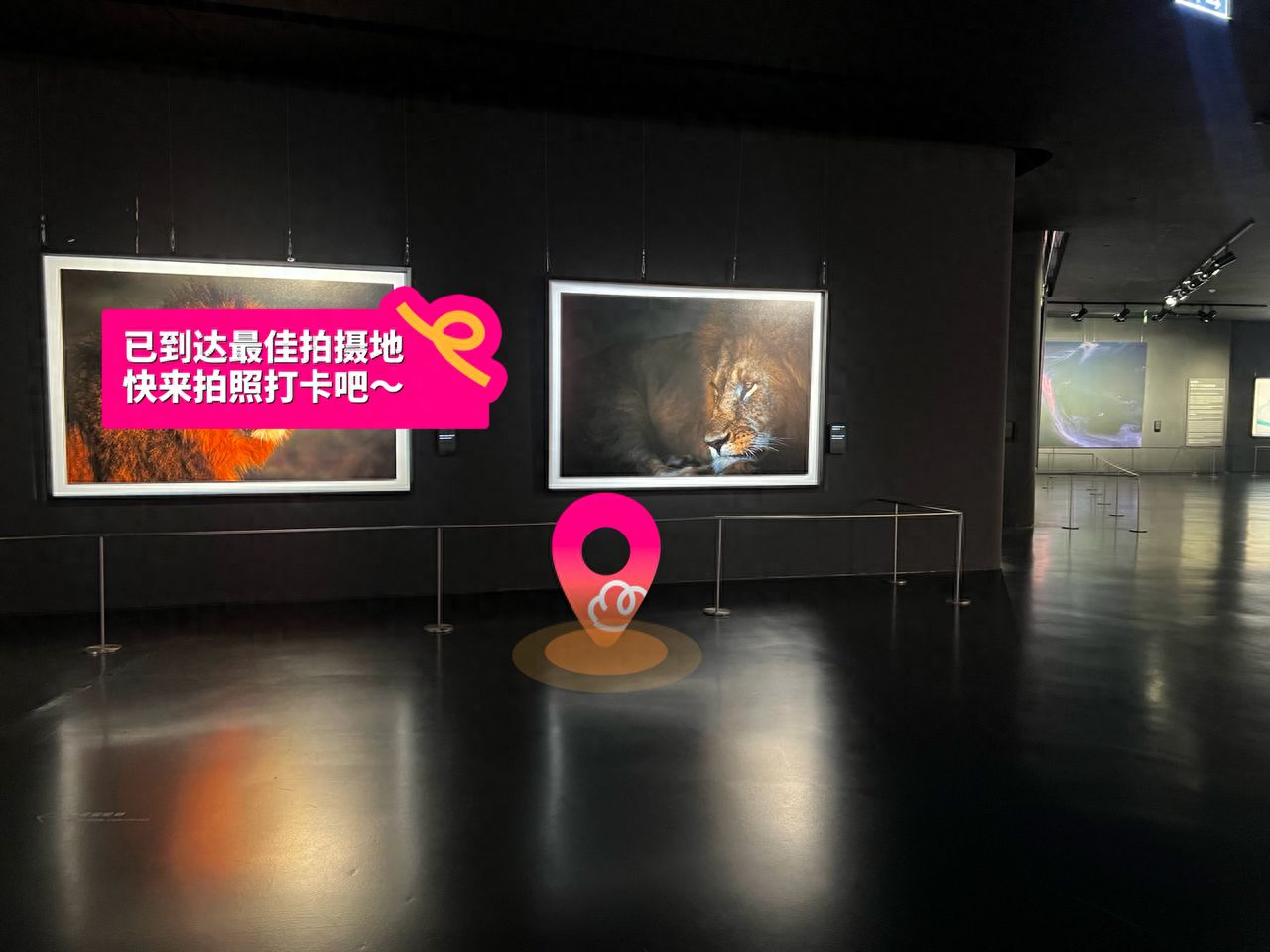 null — step-by-step photo guide