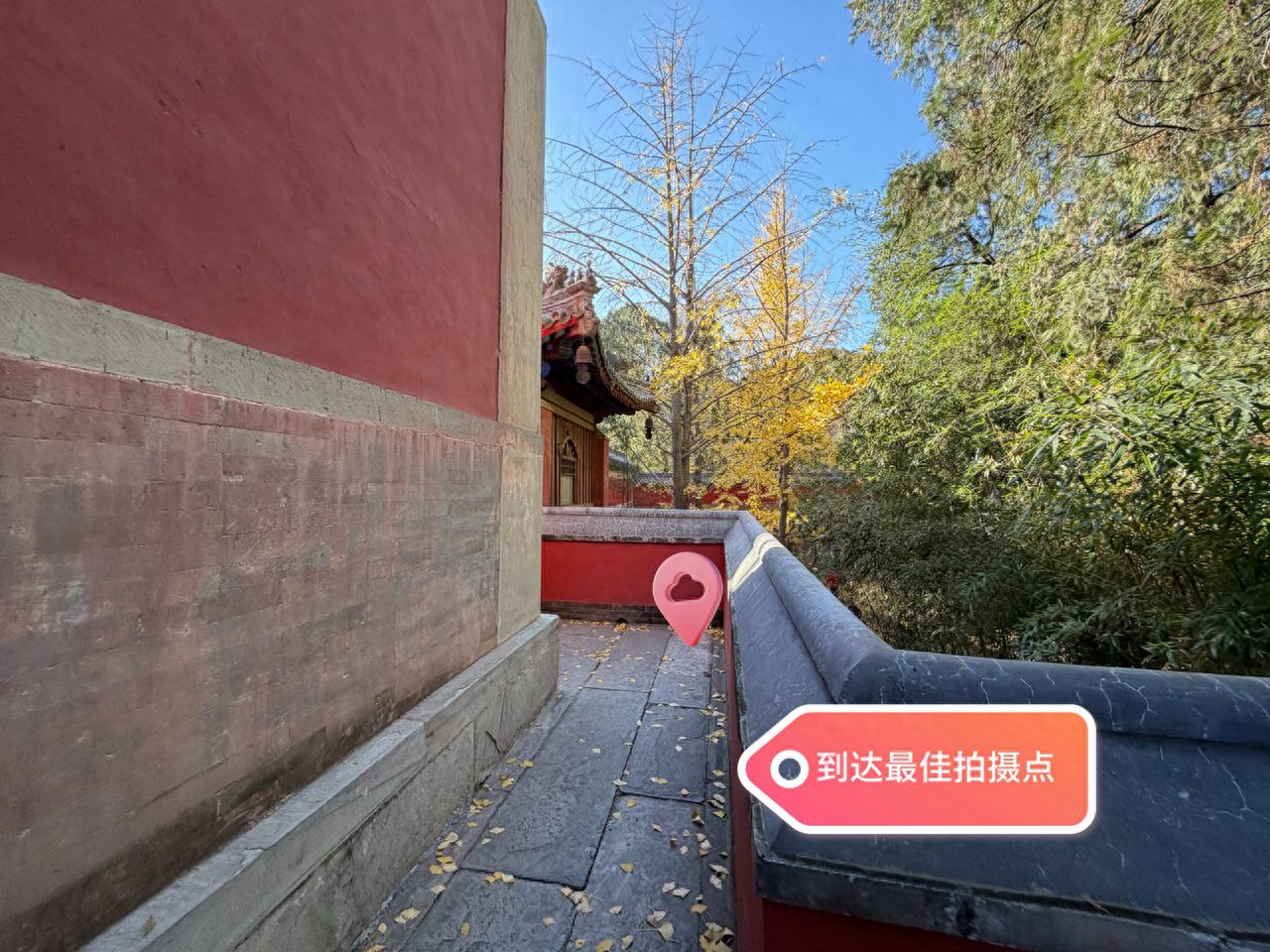 null — step-by-step photo guide