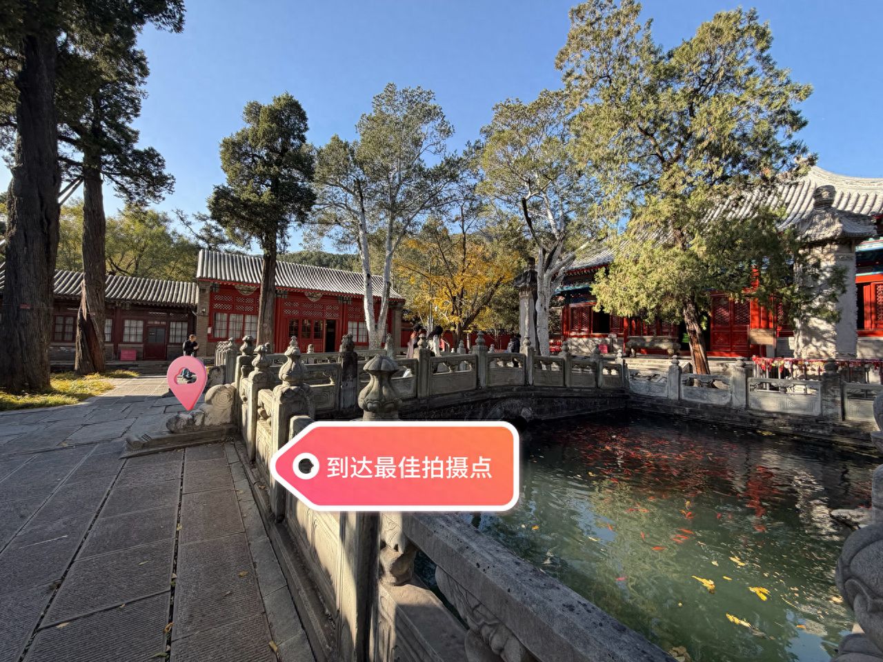 null — step-by-step photo guide