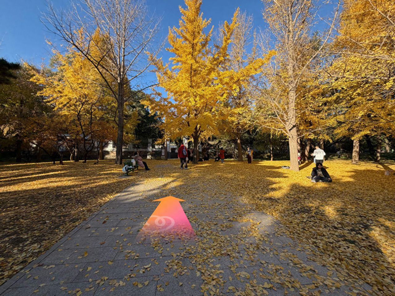 null — step-by-step photo guide